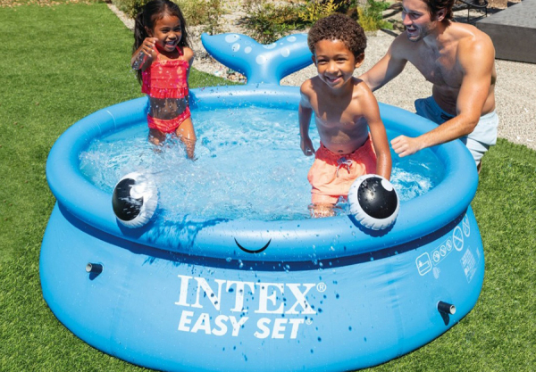   183  51  INTEX Jolly Whale Easy Set, . 26102NP