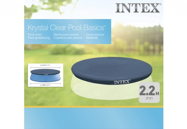   244     INTEX Easy Set Pool Cover, . 28020