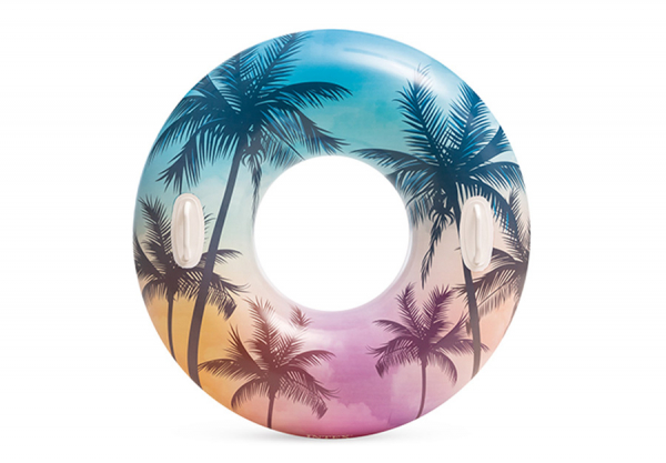    INTEX Summer Dreams Tube, . 58263NP