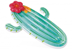    INTEX Cactus Float, . 58793EU