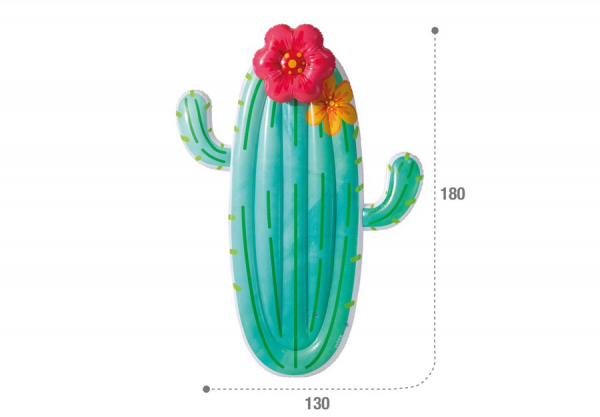    INTEX Cactus Float, . 58793EU