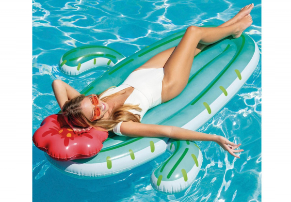    INTEX Cactus Float, . 58793EU