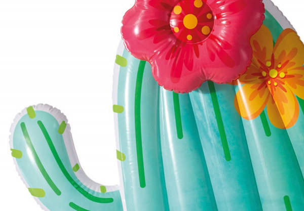    INTEX Cactus Float, . 58793EU