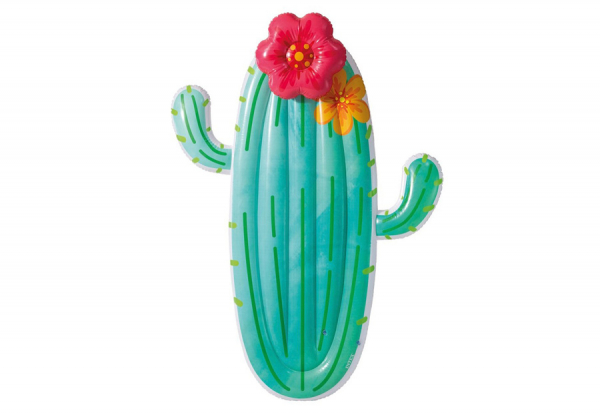    INTEX Cactus Float, . 58793EU