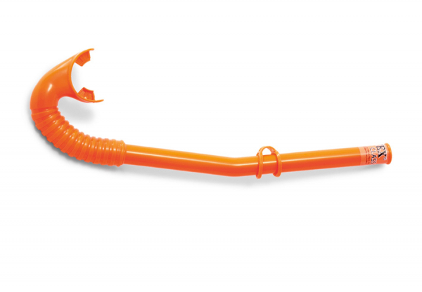     INTEX Shark Fun Set, . 55944