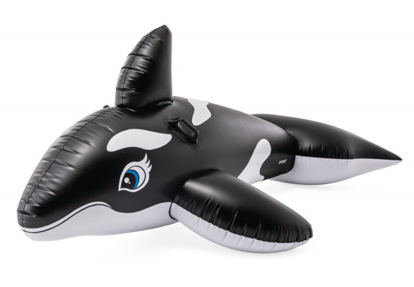    INTEX Whale Ride-On, . 58561NP