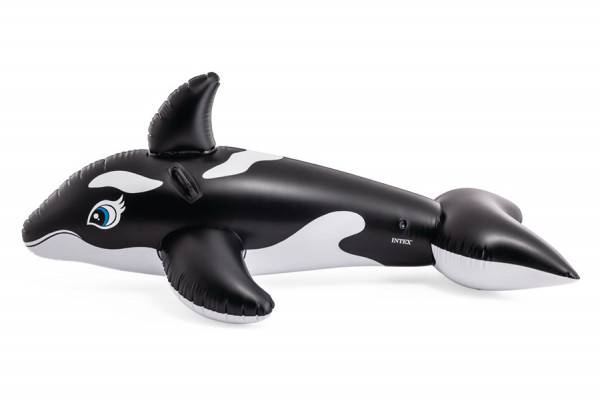    INTEX Whale Ride-On, . 58561NP