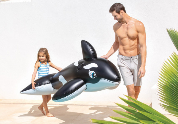   INTEX Whale Ride-On, . 58561NP