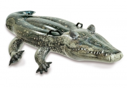    INTEX Realistic Gator Ride-On, . 57551NP