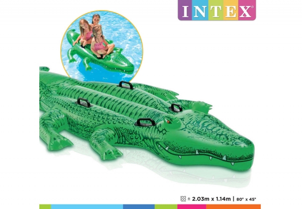     INTEX Giant Gator Ride-On, . 58562NP